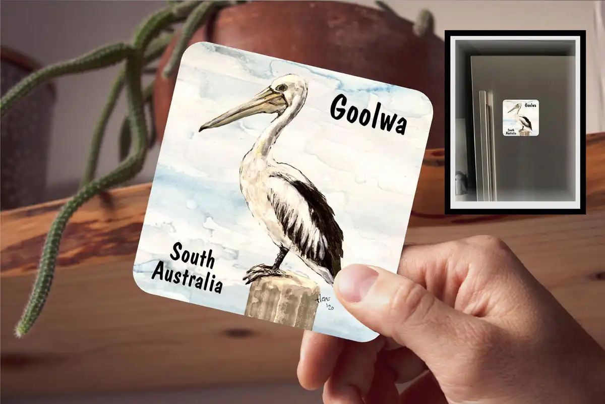 Coaster - Goolwa Pelican Drawing - South Australia