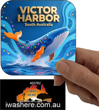 Coaster - Victor Harbor Whale Abstract 1