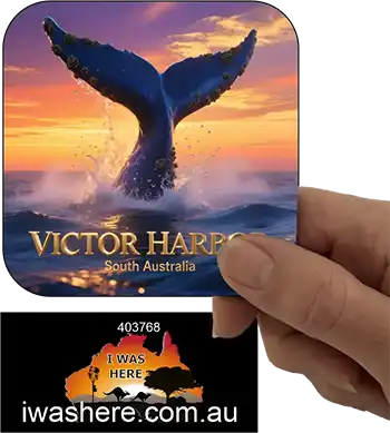 Coaster - Victor Harbor Whale Tail 1