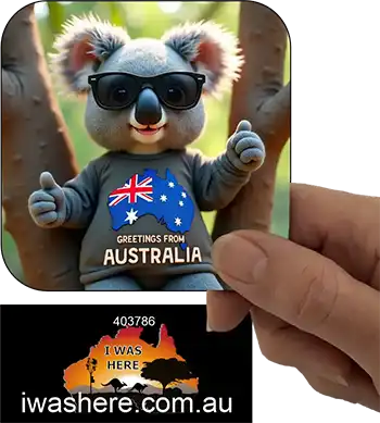 Coaster - Koala Greetings From Australia 3