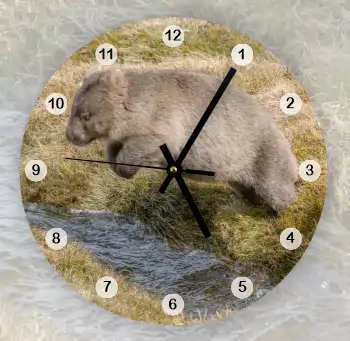Wombat Wall Clock